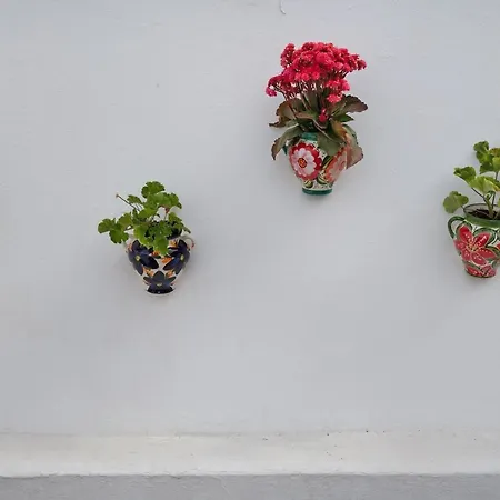 Casa Gofio Appartamento *
